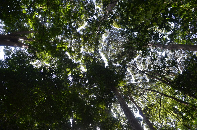 0204 DSC 5509